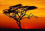 Famous Sunset Paintings - Sunset tree
